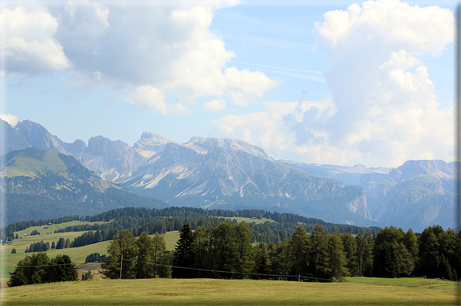 foto Alpe di Siusi